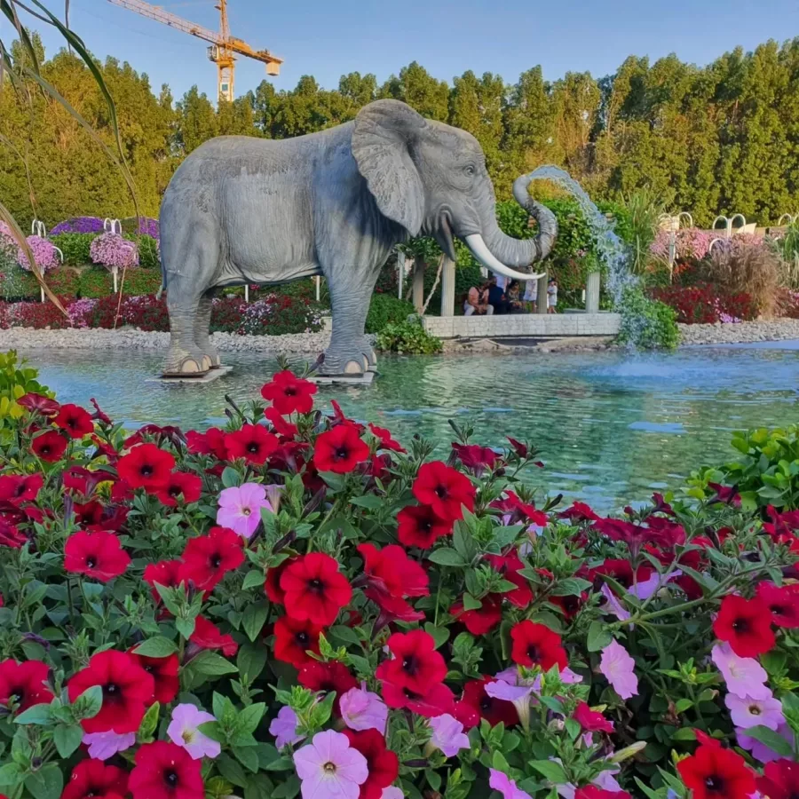 Парк The Dubai Miracle Garden в Дубаи: Парк, Природа, Цветы, Чудеса, Park, Flowers ,