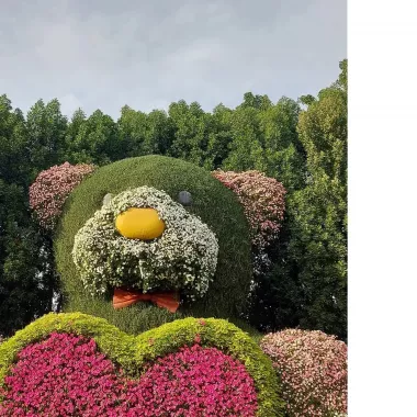 Парк "The Dubai Miracle Garden"