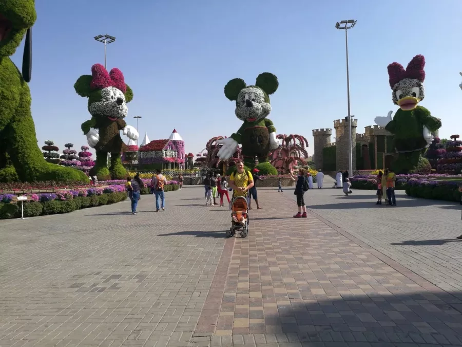 Парк The Dubai Miracle Garden в Дубаи: Парк, Природа, Цветы, Чудеса, Park, Flowers ,