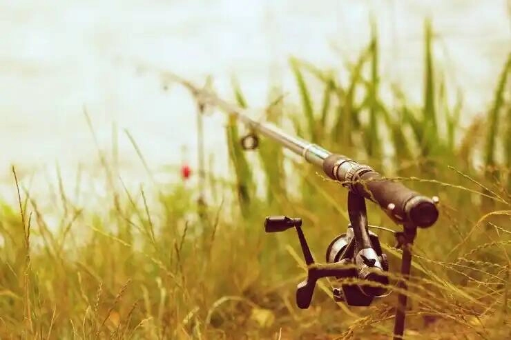 Магазин Рыболов в Ставрополе: Природа, Рыба, Спиннинг, Рыбалка,