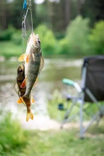 Магазин Рыболов в Ставрополе: Природа, Рыба, Спиннинг, Рыбалка,