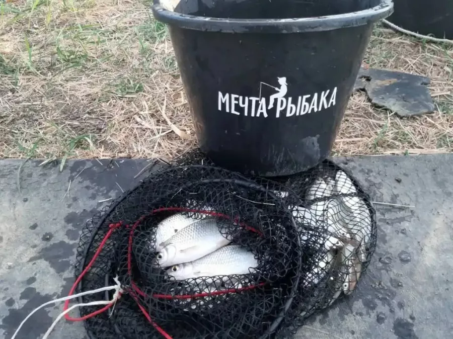 Магазин Мечта Рыбака в Ставрополе: Рыбалка, Природа, Чилим, Рыба, Спиннинг, Рыбак, Удочки, Рыбалка в России,