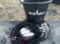 Миниатюра 7