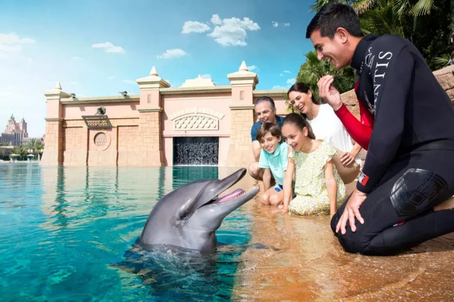 Заповедник Sea Lion Point в Дубаи: Отдых, Природа, Парк,