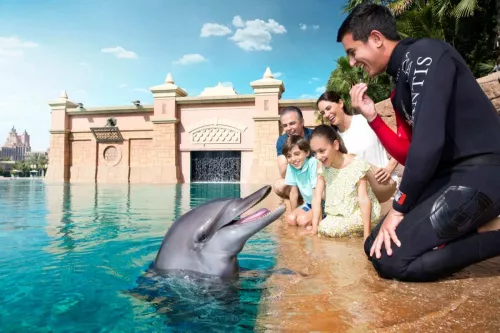 Заповедник Sea Lion Point  в  Дубаи