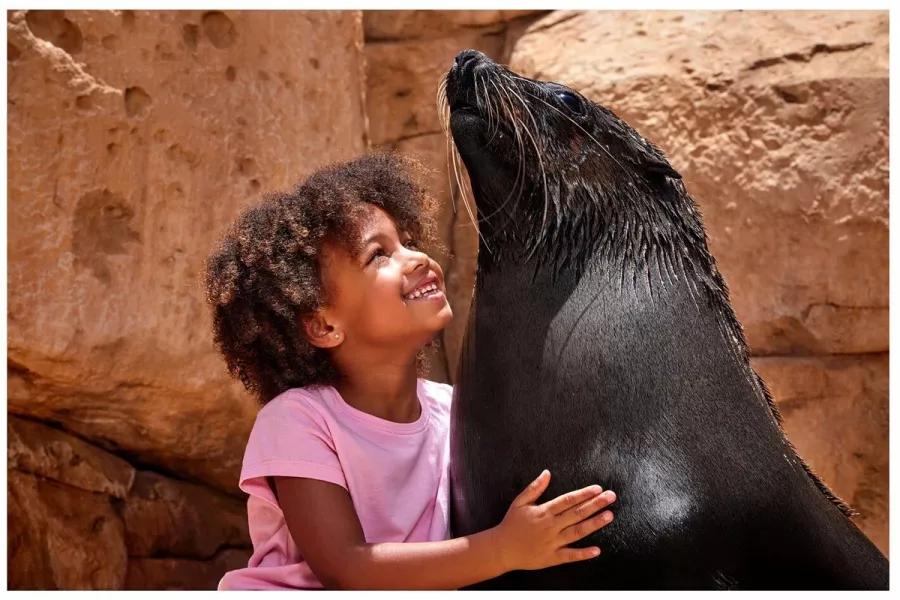 Заповедник Sea Lion Point в Дубаи: Отдых, Природа, Парк,