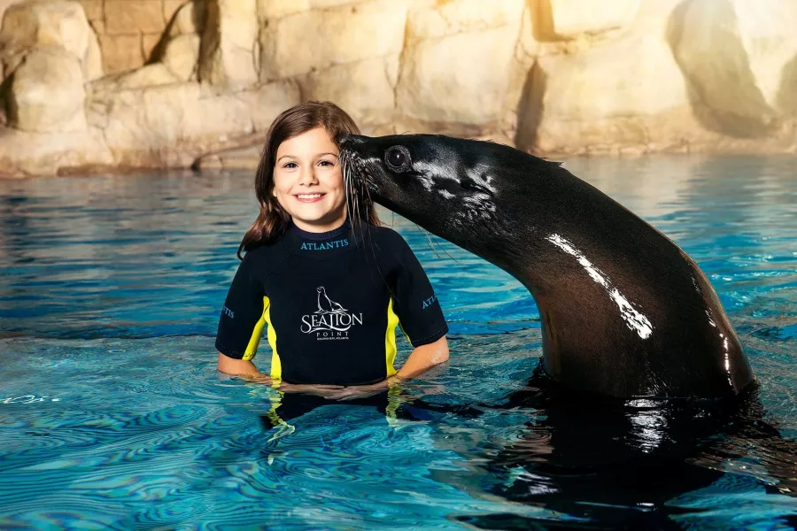 Заповедник Sea Lion Point в Дубаи: Отдых, Природа, Парк,