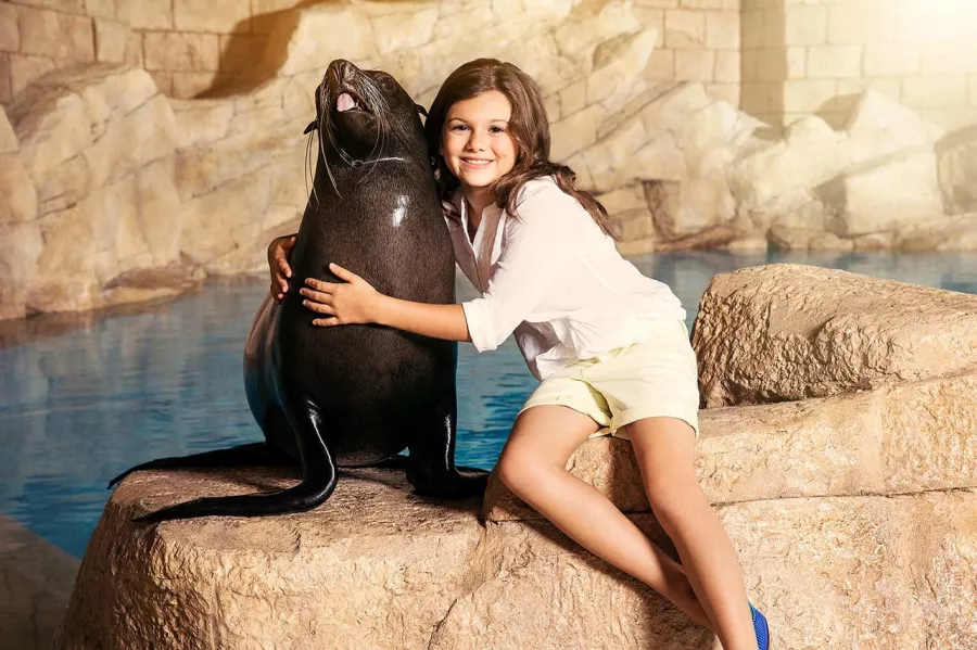 Заповедник Sea Lion Point в Дубаи: Отдых, Природа, Парк,