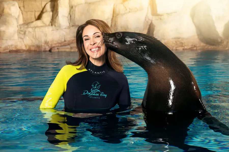 Заповедник Sea Lion Point в Дубаи: Отдых, Природа, Парк,