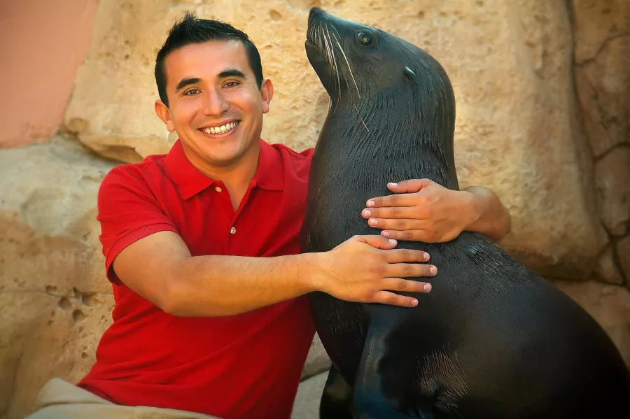 Заповедник Sea Lion Point в Дубаи: Отдых, Природа, Парк,