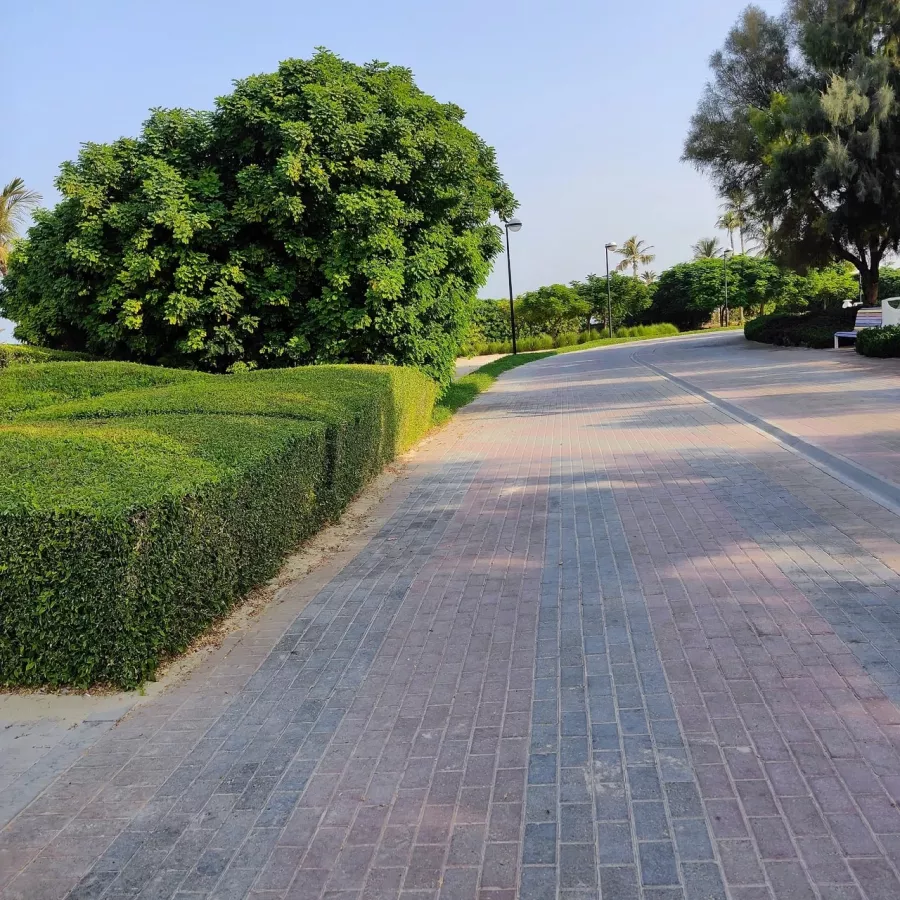 Парк Al Mamzar в Дубаи: Пляж, Возле воды, Парк, Park, Beach, Water,
