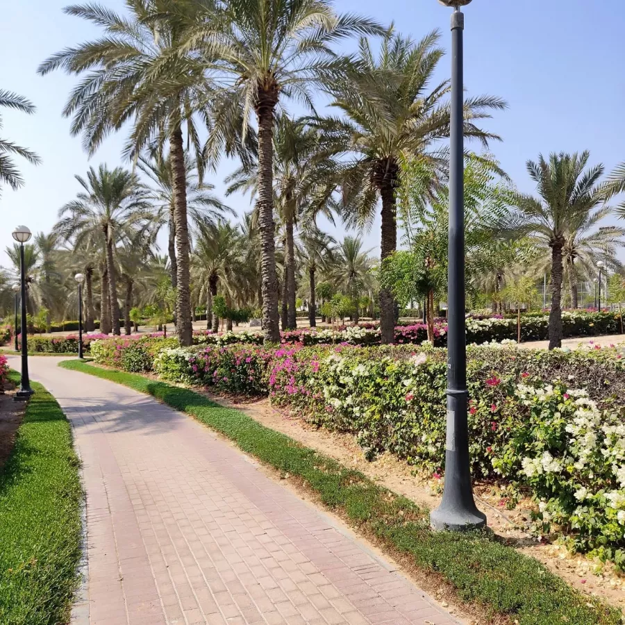 Парк Al Mamzar в Дубаи: Пляж, Возле воды, Парк, Park, Beach, Water,