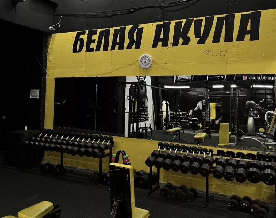 Тренажерный зал Белая Акула в Ставрополе: Тренажёрный зал , Тренировки , Стретчинг , Развиваться, Фитнес , Следить за здоровьем,
