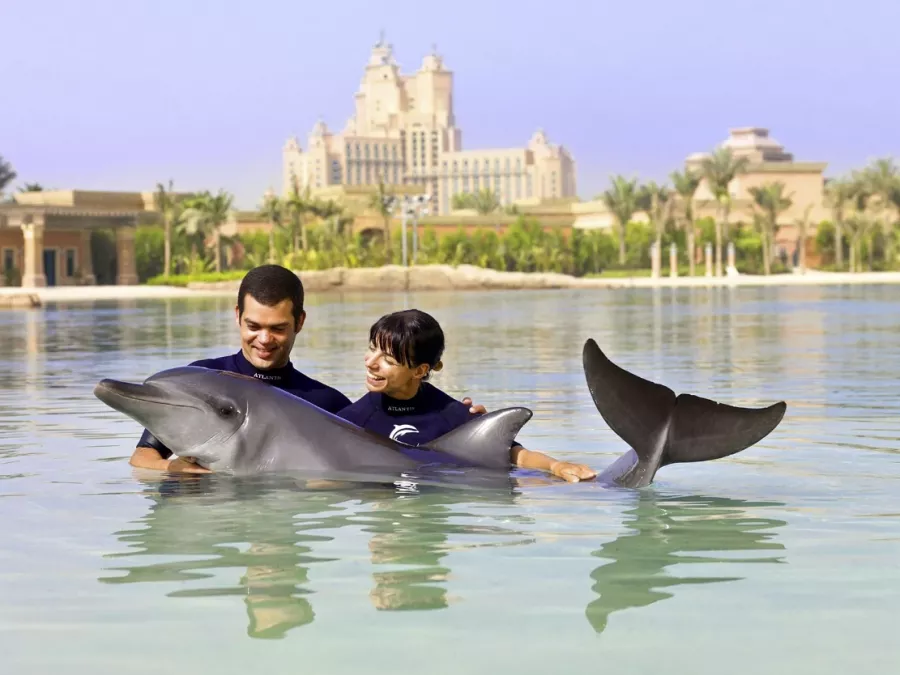 Дельфинарий Dolphin Bay в Дубаи: Для детей, Чилим, Развлечения , Дельфинарий , Морской мир, Дельфины, Возле воды, Всей семьей,