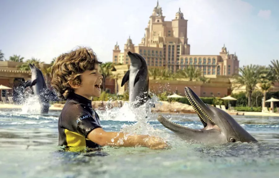 Дельфинарий Dolphin Bay в Дубаи: Для детей, Чилим, Развлечения , Дельфинарий , Морской мир, Дельфины, Возле воды, Всей семьей,