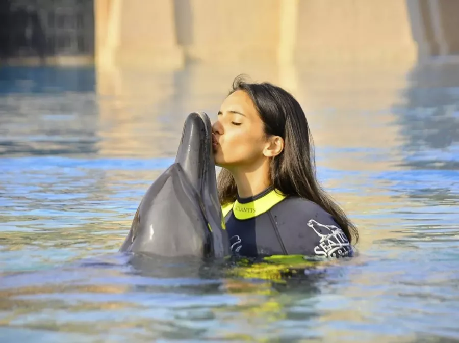 Дельфинарий Dolphin Bay в Дубаи: Для детей, Чилим, Развлечения , Дельфинарий , Морской мир, Дельфины, Возле воды, Всей семьей,