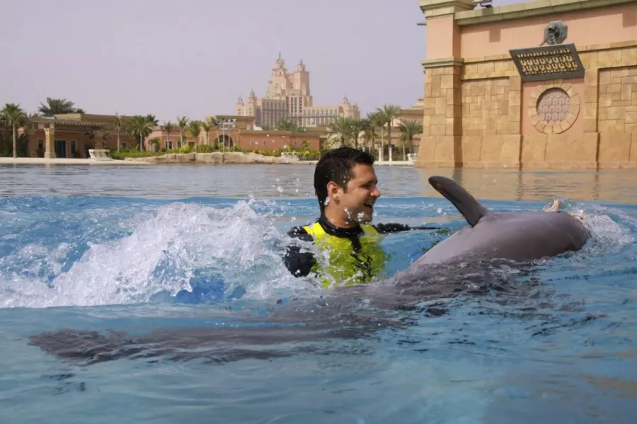 Дельфинарий Dolphin Bay в Дубаи: Для детей, Чилим, Развлечения , Дельфинарий , Морской мир, Дельфины, Возле воды, Всей семьей,