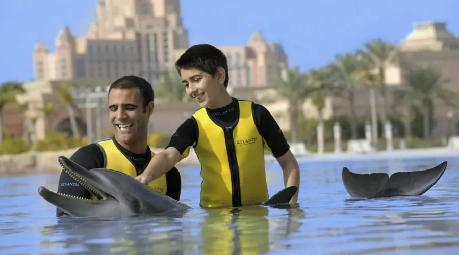 Дельфинарий Dolphin Bay в Дубаи: Для детей, Чилим, Развлечения , Дельфинарий , Морской мир, Дельфины, Возле воды, Всей семьей,