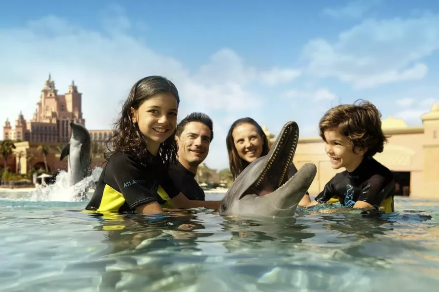 Дельфинарий Dolphin Bay в Дубаи: Для детей, Чилим, Развлечения , Дельфинарий , Морской мир, Дельфины, Возле воды, Всей семьей,