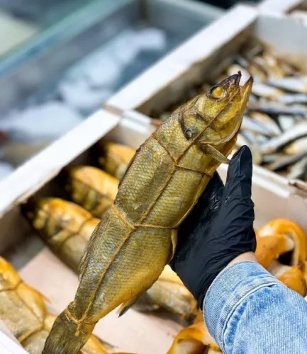 Магазин Fish House на Командорской  в  Краснодаре