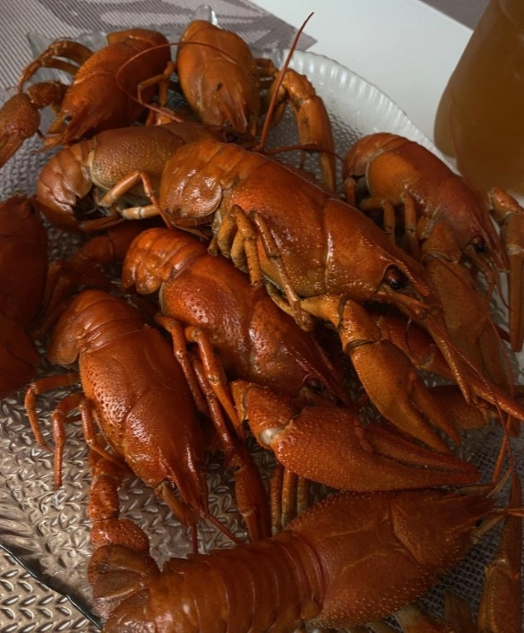 Магазин Fish House на Командорской в Краснодаре: Морепродукты, Магазин, Раки, Закуска, Доставка, Рыба, Разливное пиво,