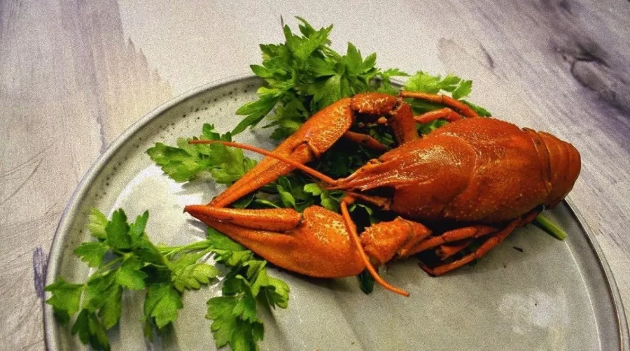 Раковая BaRak на Командорской в Краснодаре: Доставка, Пивной бар, Раки, Морепродукты, Креветки, Рыба, Снековая продукция,