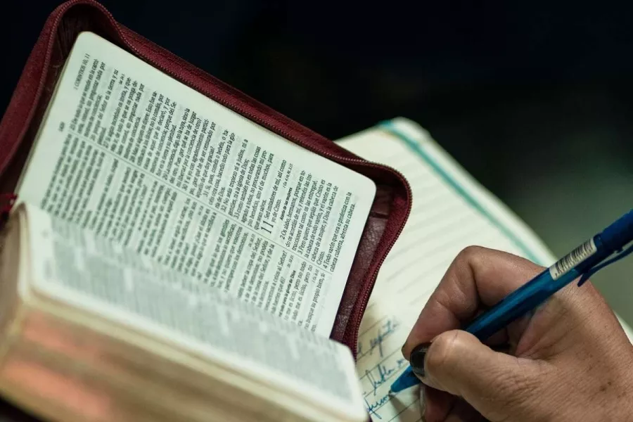 Языковая школа Language ON в Ереване: Грамматика, Онлайн Занятия, Аудио Уроки, Групповые занятия, Иностранные языки, Английский язык,