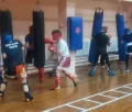 Миниатюра 5