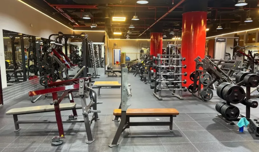 Фитнес VIP GYM & FITNESS CENTER в Дубаи: Здоровье, Развитие,