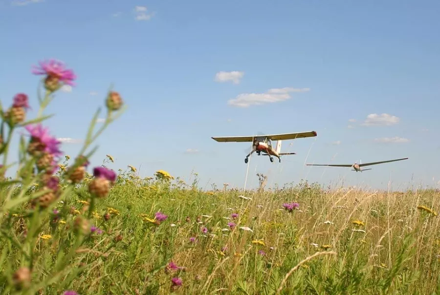 Аэроклуб Aviation Training Center в Дубаи: Аэроклуб, Самолеты, Airplane, Aeroclub, Развлечения, Entertainment, Воздух,