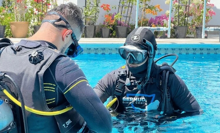 Дайвинг Bermuda Diving Center в Дубаи: Дайвинг, Плавание, Рыбы, Fish, Diving, Swimming,