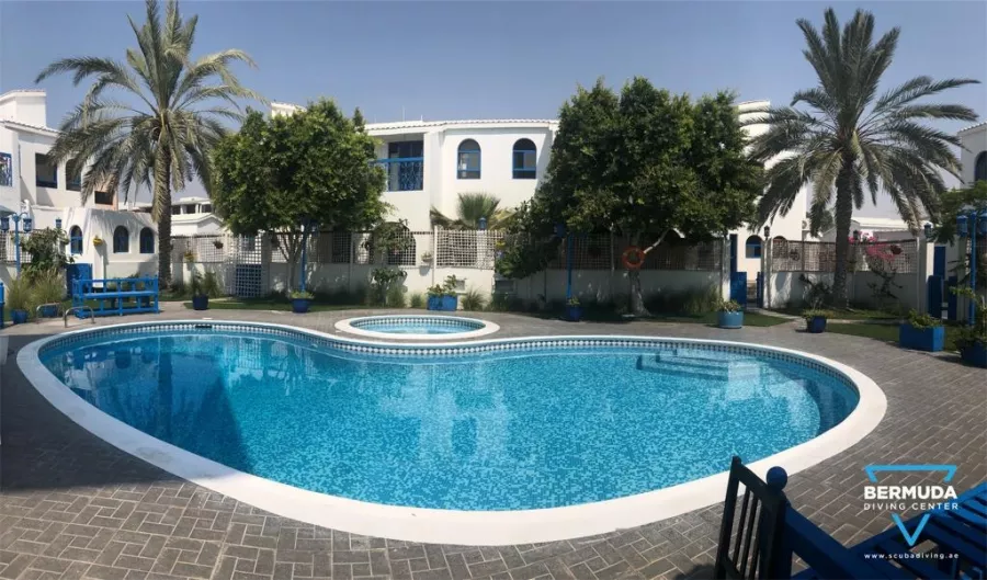 Дайвинг Bermuda Diving Center в Дубаи: Дайвинг, Плавание, Рыбы, Fish, Diving, Swimming,