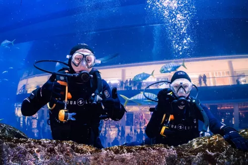 Дайвинг Al Boom Diving  в  Дубаи