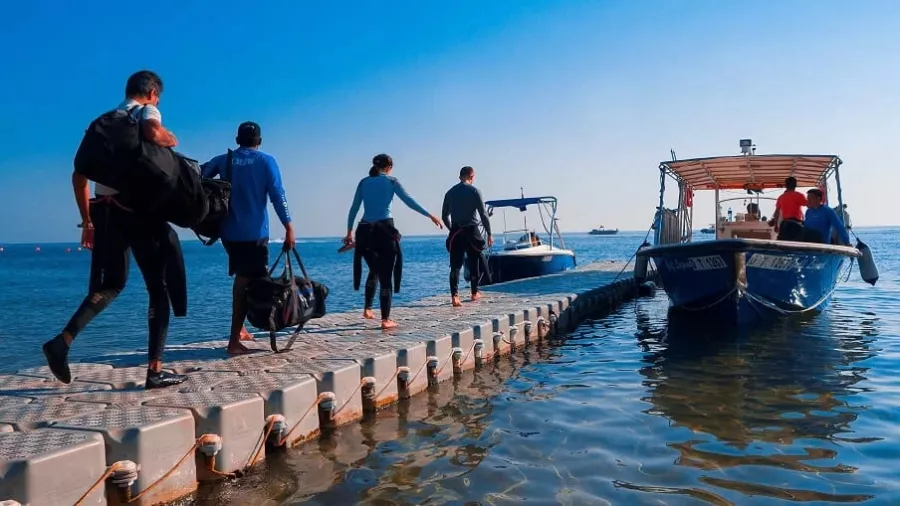 Дайвинг Al Boom Diving в Дубаи: Дайвинг, Плавание, Рыбы, Fish, Diving, Swimming,