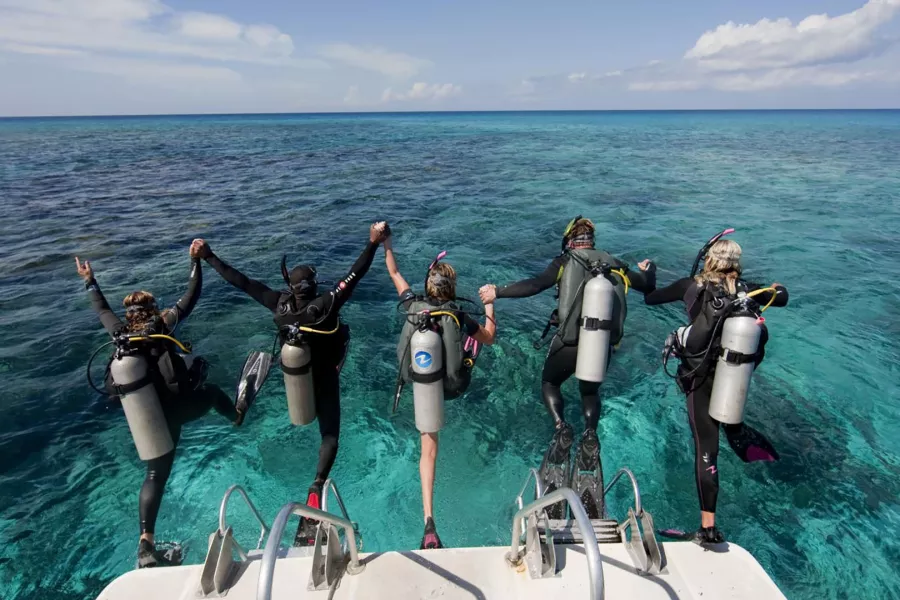 Дайвинг Atlantis Dive Centre в Дубаи: Дайвинг, Плавание, Рыбы, Fish, Diving, Swimming,