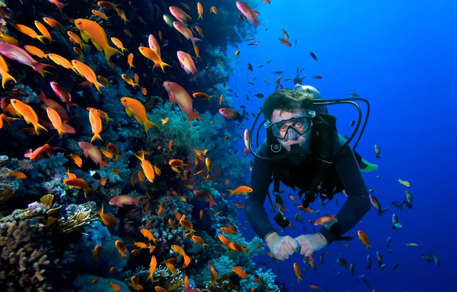 Дайвинг Atlantis Dive Centre в Дубаи: Дайвинг, Плавание, Рыбы, Fish, Diving, Swimming,