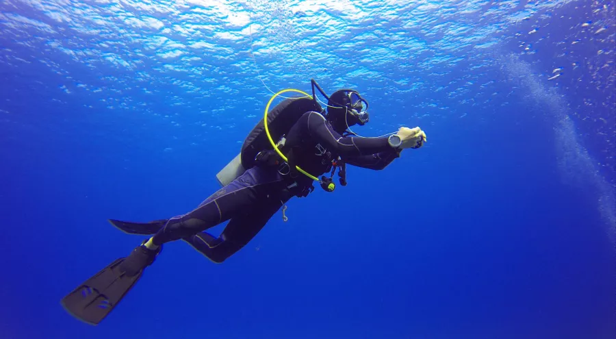 Дайвинг Paradise Blue Diving Center в Дубаи: Хобби, Дайвинг, Плавание, Рыбы,