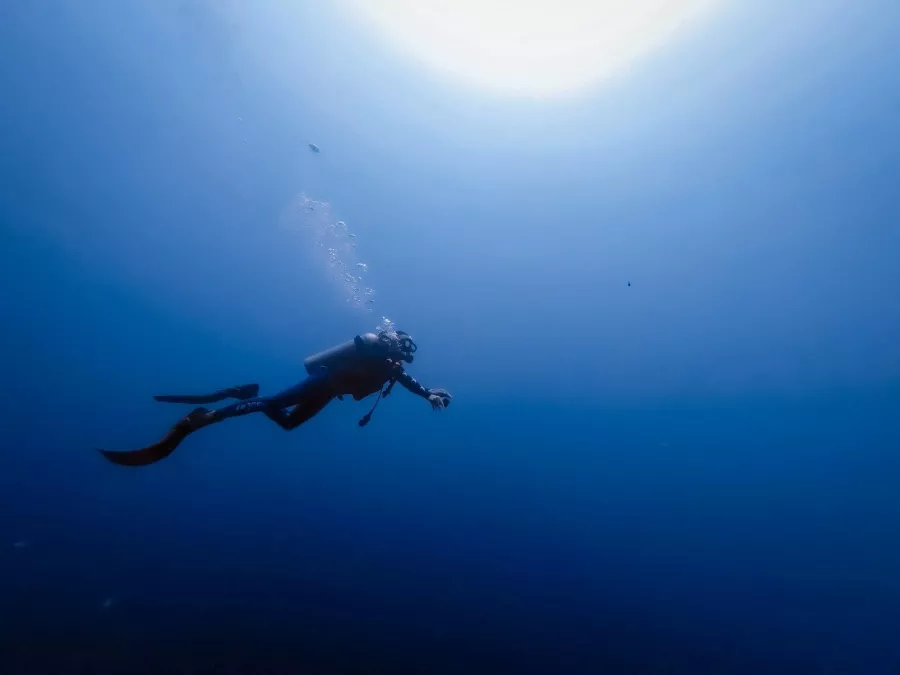 Дайвинг Paradise Blue Diving Center в Дубаи: Хобби, Дайвинг, Плавание, Рыбы,