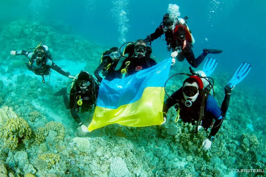 Дайвинг Paradise Blue Diving Center в Дубаи: Хобби, Дайвинг, Плавание, Рыбы,