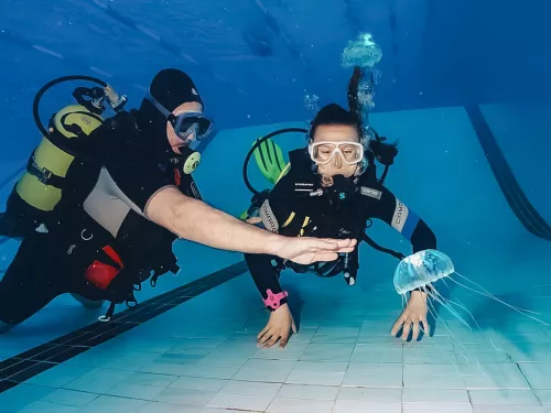Дайвинг Scuba Hub, diving club  в  Дубаи