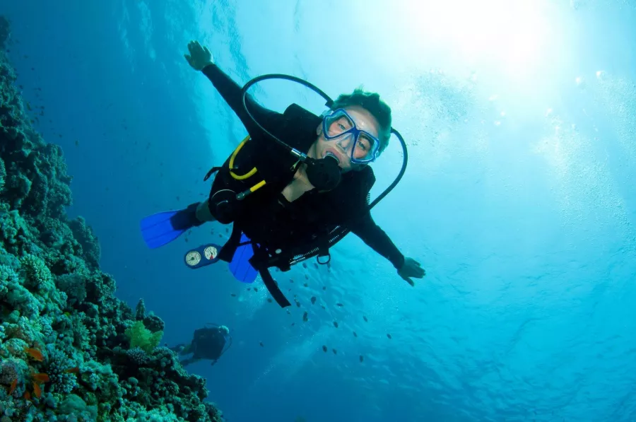 Дайвинг Scuba Hub, diving club в Дубаи: Дайвинг, Плавание, Рыбы, Fish, Diving, Swimming,