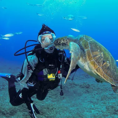 Дайвинг Scuba Hub, diving club"