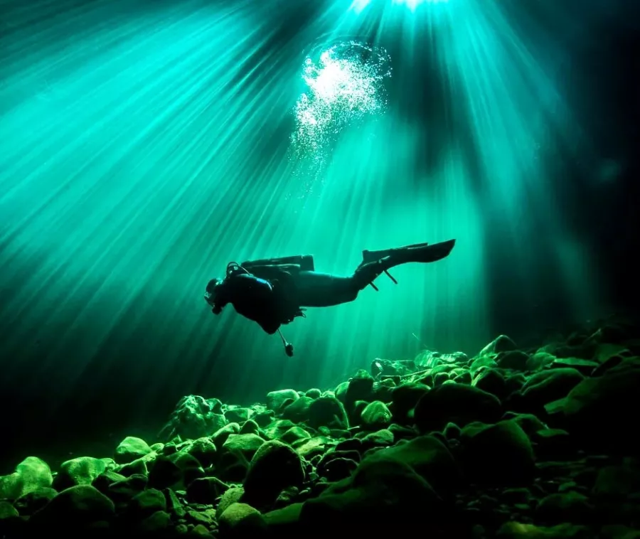 Дайвинг Scuba Hub, diving club в Дубаи: Дайвинг, Плавание, Рыбы, Fish, Diving, Swimming,