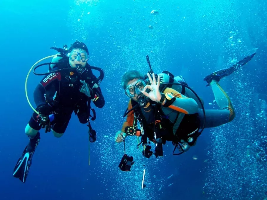 Дайвинг Divers Down в Дубаи: Дайвинг, Плавание, Рыбы, Fish, Diving, Swimming,