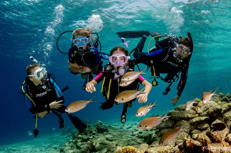 Дайвинг Divers Down в Дубаи: Дайвинг, Плавание, Рыбы, Fish, Diving, Swimming,