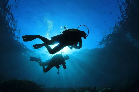 Дайвинг "Divers Down"