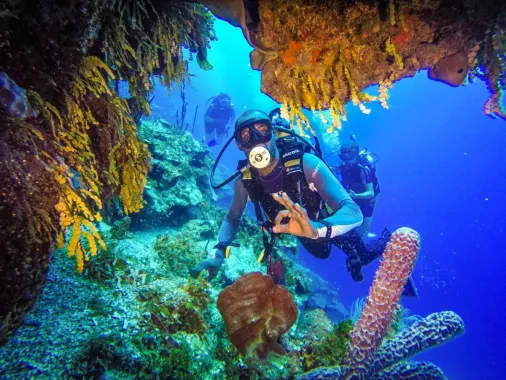 Дайвинг "Mermaid Diving Center"
