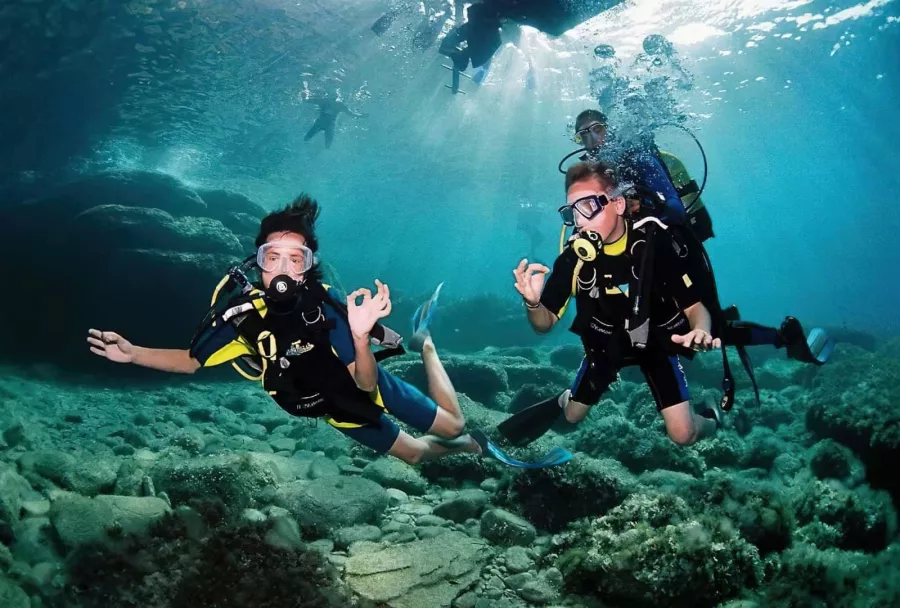 Дайвинг Mermaid Diving Center в Дубаи: Дайвинг, Плавание, Природа, Fish, Diving, Swimming,