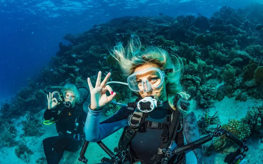 Дайвинг Mermaid Diving Center в Дубаи: Дайвинг, Плавание, Природа, Fish, Diving, Swimming,
