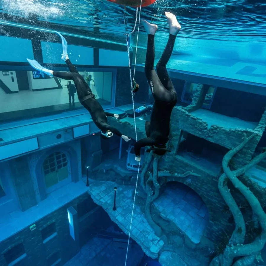 Дайвинг Deep Dive Dubai в Дубаи: Дайвинг, Плавание, Рыбы, Fish, Diving, Swimming,